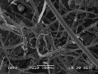 microscopic view of dust