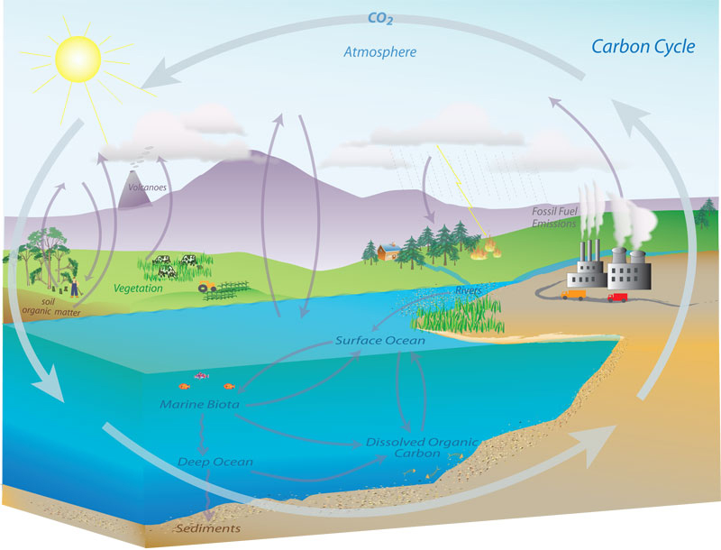 NOAA Education Resources: Carbon Cycle Collection