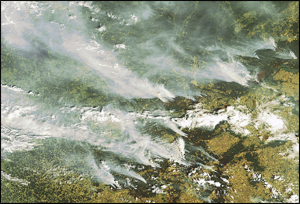smoke plumes from satellite