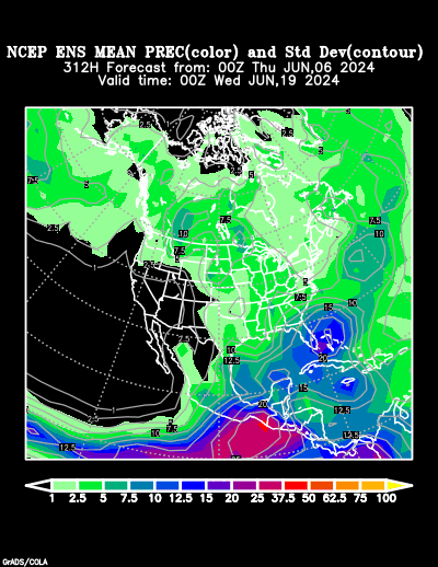 NCEP Ensemble t = 312 hour forecast product