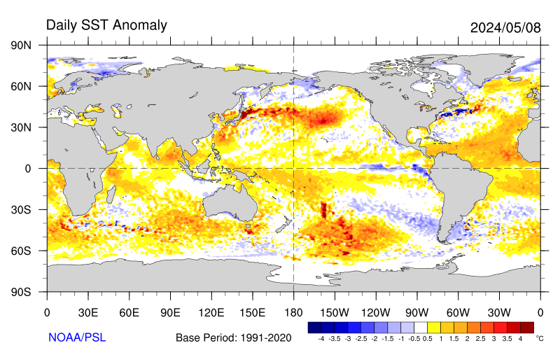 Daily SST Anomaly