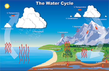 water cycle diagram