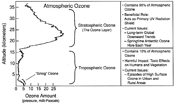 Ozone vertical profile