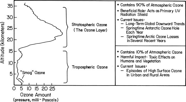 Atmospheric Ozone vertical profile