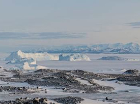 icebergs near field site