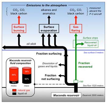 oil carbon and combustion product partitioning in the marine environment schematic