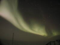 Antarctica_Pics_169.jpg
