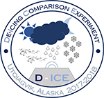 D-ICE logo