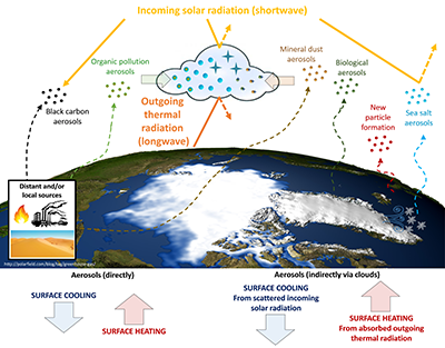 Schematic showing the different types of aerosols that can be found in the Arctic atmosphere, and in turn, how those aerosols affect cloud formation and the energy budget at the Arctic surface.