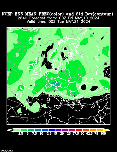 NCEP Ensemble t = 264 hour forecast product