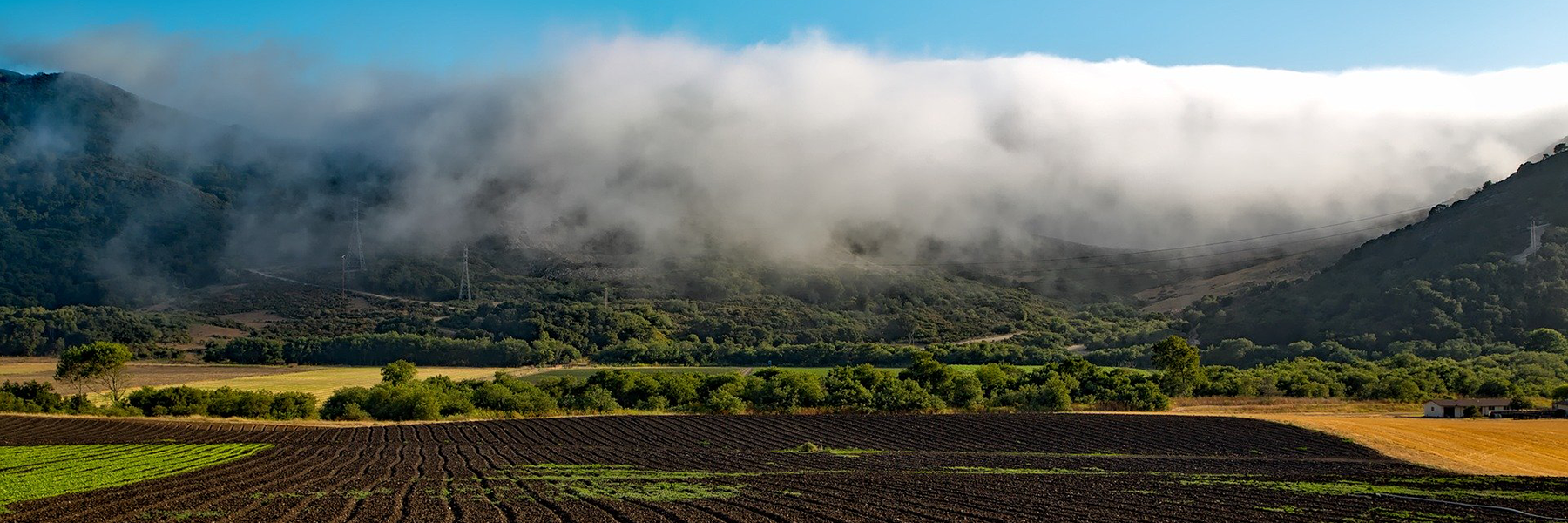 Many of the country’s fruits and vegetables are grown in the Central Valley of California. Better winter climate forecasts can help water managers and farmers plan accordingly (Image by David Mark from Pixabay).