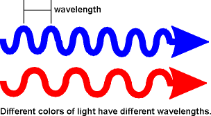 What we perceive as color is more accurately
described in terms of the wavelength of the light wave.  This figure
shows that the wavelength of blue light is shorter than that of red
light. All colors have different wavelengths as does light outside
the visible spectrum.