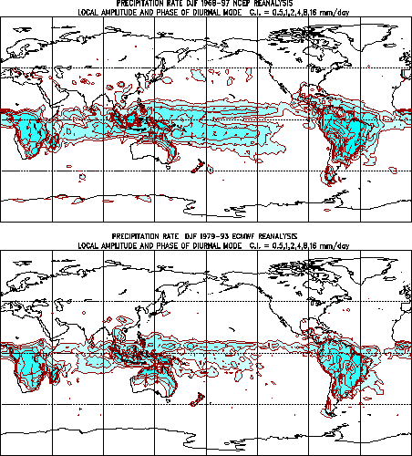 Diurnal component of precipitation estimated from NCEP and ECMWF reanalyses
